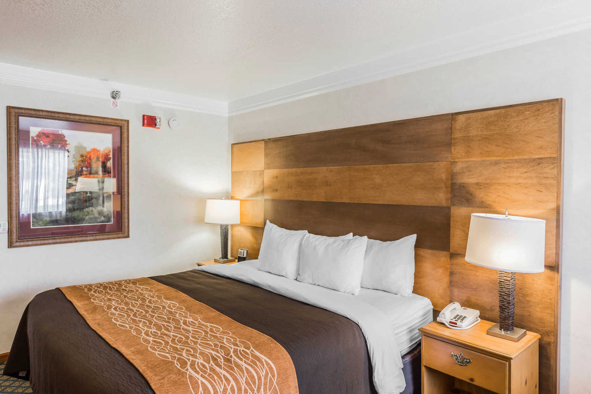 Comfort Inn & Suites Durango Pokój zdjęcie